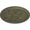 Ekena Millwork Kaya Ceiling Medallion (Fits Canopies up to 5 1/4"), Hnd-Painted Painted Turtle, 23 5/8"OD x 1 1/2"P CM23KAPTF - alternate 3